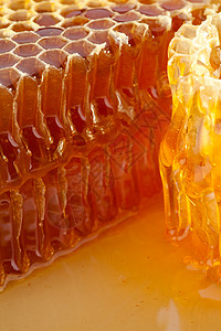 蜂窝和蜂蜜维生素黄色蜂巢花蜜橙子食物营养金子蜂蜡棕色图片