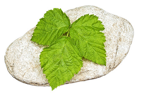 有叶的石头药品身体治疗叶子温泉岩石平衡环境绿色冥想图片