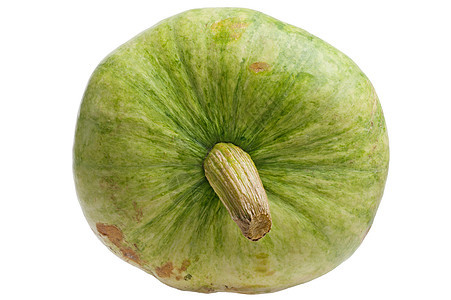 绿南瓜在白色背景中被孤立工作室蔬菜生态食物植物葫芦摄影季节水果绿色图片
