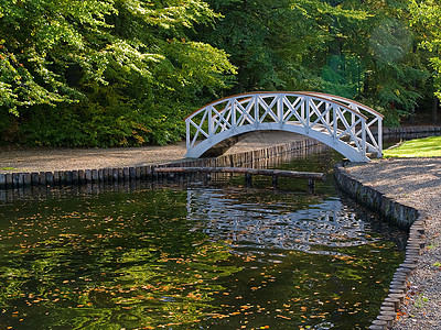 河上小型木桥太阳树木行人假期溪流木头森林人行道场景公园图片