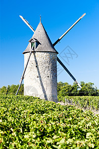 法国波尔多州Blaignan附近有葡萄园的风车农业乡村地区建筑植物建筑学酒业旅行作物种植图片