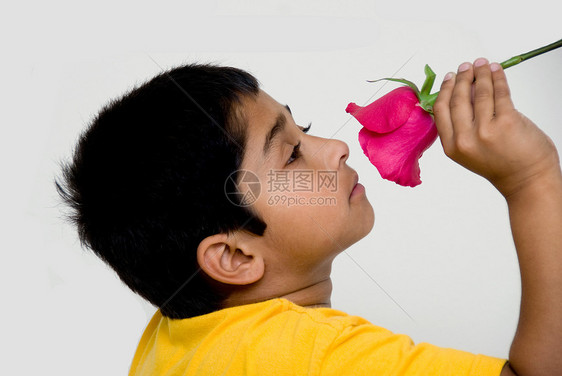 长相英俊的印度小孩拿着花给玫瑰幸福叶子移民眼神青少年礼物工作室孩子女孩图片