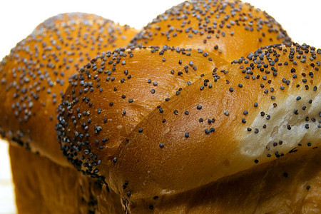 面包包子文化杂货产品小麦芝麻食物宏观白色糕点图片