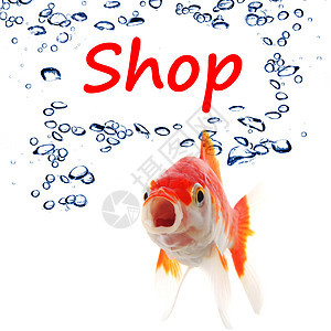 购物气泡宠物销售营销金鱼商业店铺零售顾客购物中心背景图片