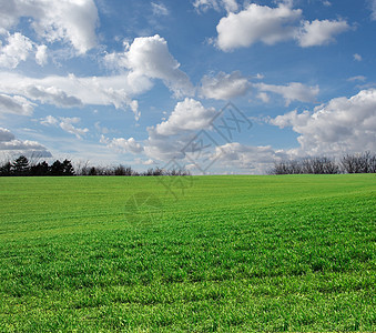 外地草地农村土地植物牧场场景培育场地蓝色风景图片