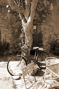 自行车停在树上图片