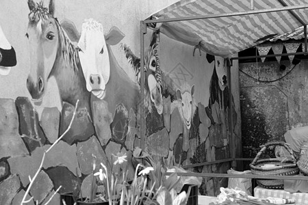 农民市场乡村奶牛壁画生活店铺篮子收成食物天篷野餐图片