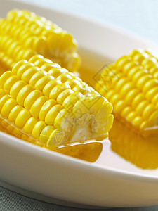 玉米汤时间玉米肉汤食物午餐液体起动机营养宏观蔬菜图片