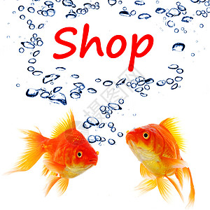 购物市场店铺商业宠物动物气泡广告零售金鱼营销背景图片