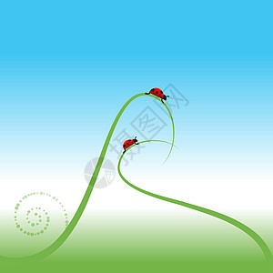 春底Ladybug 弹簧背景甲虫艺术草本植物季节叶子生活环境幸福场地阳光图片