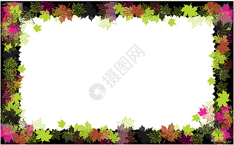 秋光框 绿叶 请将文字放在这里边界漩涡损失树叶植物插图衬套艺术树木卡通片图片