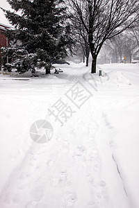 白雪覆盖人行道图片