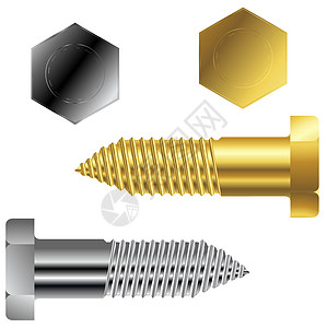 金银和银银螺黄色建造抛光坚果框架合金指甲铆钉铭牌螺柱图片