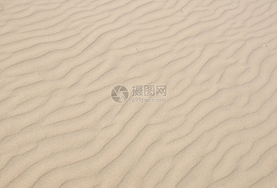 光沙质 有对角图案的浅沙质图片