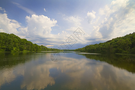 夏季湖蓝色草地树木场景反射天空环境自由松树池塘图片