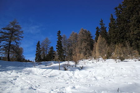瑞士阳光冬天风景 瑞士高山木头小木屋假日雪堆顶峰大雪休息滑雪板滑雪图片