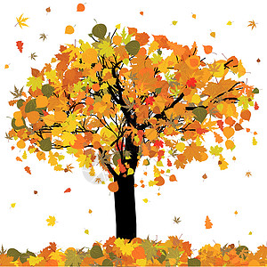 美丽的秋天树设计 EPS 8图片