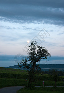 梅尔堡葡萄园酿酒进货叶子季节多云日落月亮天空植物葡萄园图片
