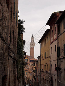 中世纪的锡耶纳(Siena)图片