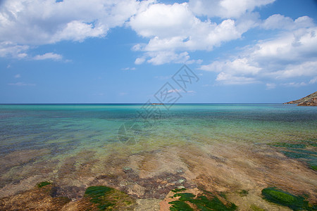 绿色海藻月经的海平面背景