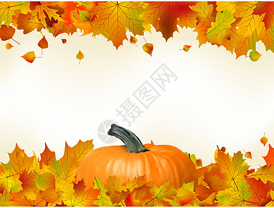 带南瓜的多彩秋叶 EPS 8叶子卡片收成装饰橙子蔬菜风格葫芦宏观季节图片