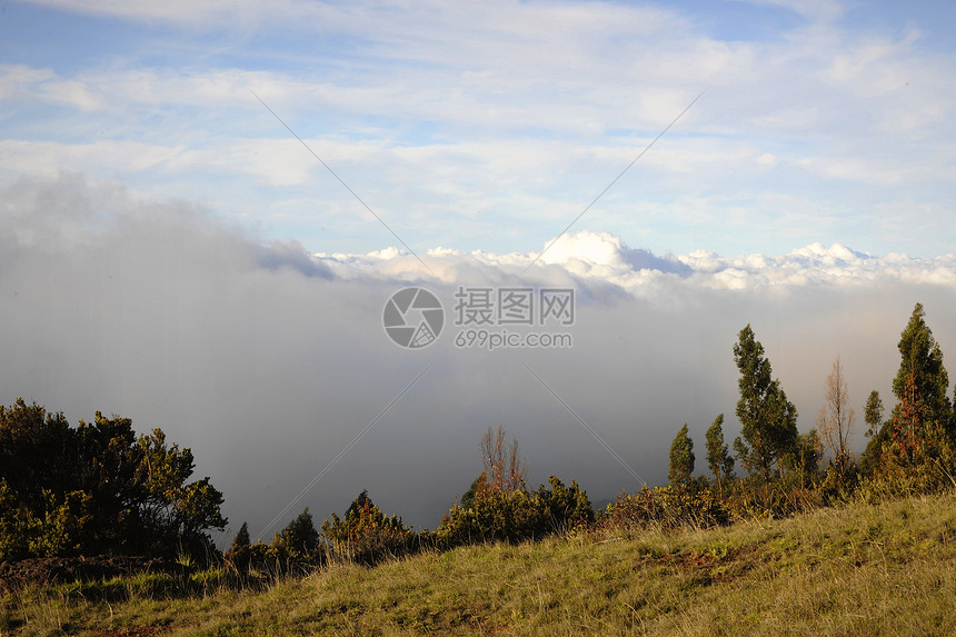 福吉早上来电公园薄雾场地木头风景森林季节阳光环境植物图片