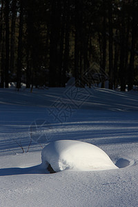 加拿大冬季的雪景季节性天气冻结旅行季节蓝色庆典白色天空背景图片