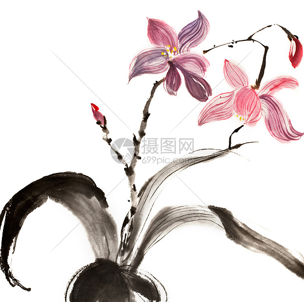 中华传统绘画艺术艺术品墨水紫色帆布插图植物群衬套植物刷子图片