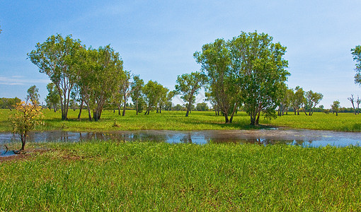 Kakadu国家公园荒野湿地遗产国家土著热带公园领土背景图片