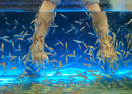 鱼水女性水族馆呵护女孩治疗游泳蓝色温泉图片