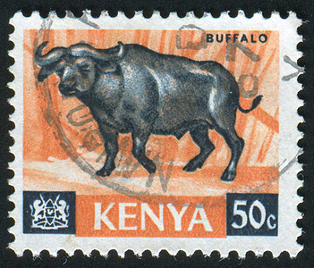 邮票野生动物耳朵邮政牛角羚羊草原集邮动物信封哺乳动物图片