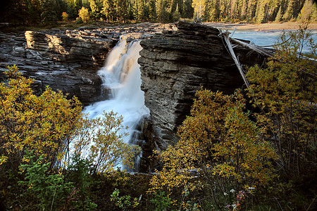 阿塔巴斯卡瀑布覆盖加拿大高清图片