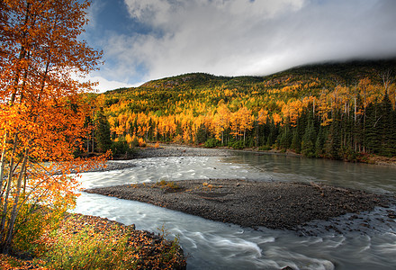 不列颠哥伦比亚北部Tanzilla河的秋色山脉松树颜色旅行岩石丘陵树叶场景溪流蓝天图片