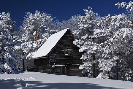 冬天雪中村庄雪中山庄乡村小屋寂寞风景季节国家假期阳光木头住宅背景