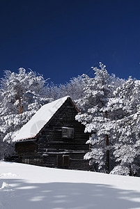 冬天雪中村庄雪中山庄小屋阳光木头住宅乡村寂寞假期季节风景晴天背景