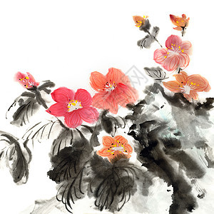 彩色中国绘画帆布植物群插图墨水艺术品手工衬套叶子文化艺术图片