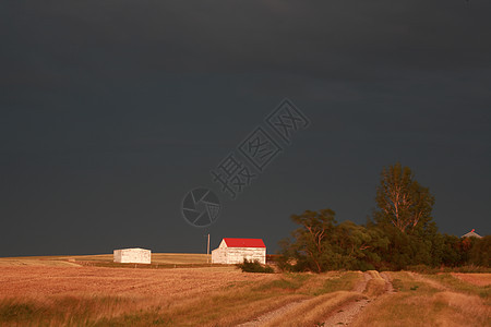 萨斯喀彻温农场后面的暴风云图片