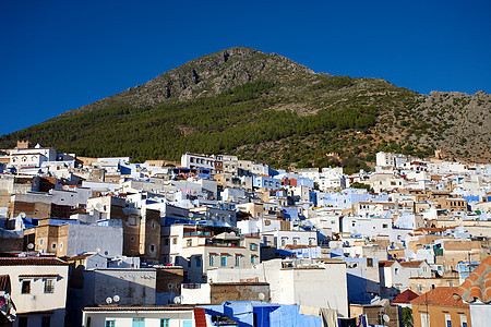 Chaouen 观点漂洗堡垒房子游客村庄袖珍潮元植物蓝色白色图片