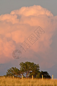 萨斯喀彻温省库穆洛尼姆布云栅栏风暴场景天气风景旅行乡村天空图片