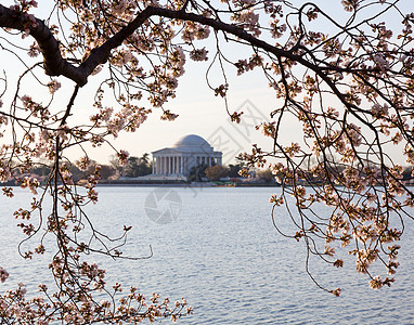 和Jefferson纪念会直流电纪念馆潮汐节日公园季节旅游盆地购物中心纪念碑图片