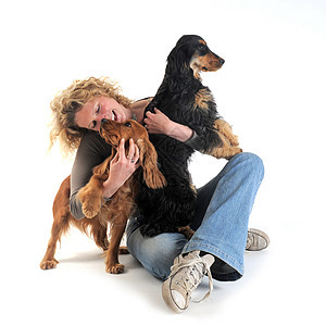 英国式斗鸡和妇女小狗女士宠物白色微笑动物工作室猎犬友谊金发图片