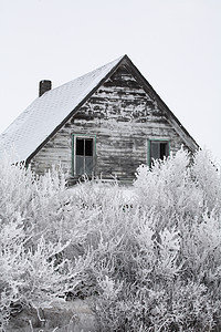 冬季被遗弃的农舍植被农村风景乡村农场车轮帽子照片农业牛仔图片