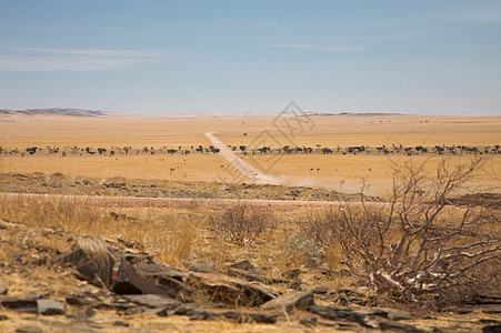 Namib 沙漠旅行全景岩石土地纳米布地平线风景日落晴天荒野图片