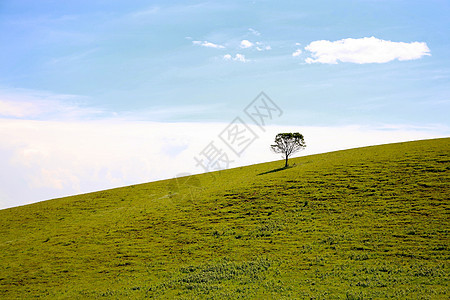 在乐园的路上有田地草原自由植物水平房子土地摄影农田风景天空图片