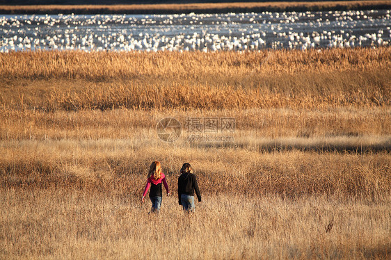 两个女孩在向雪雁走去女孩们乡村跑步水平孩子们避难所农村活动图片