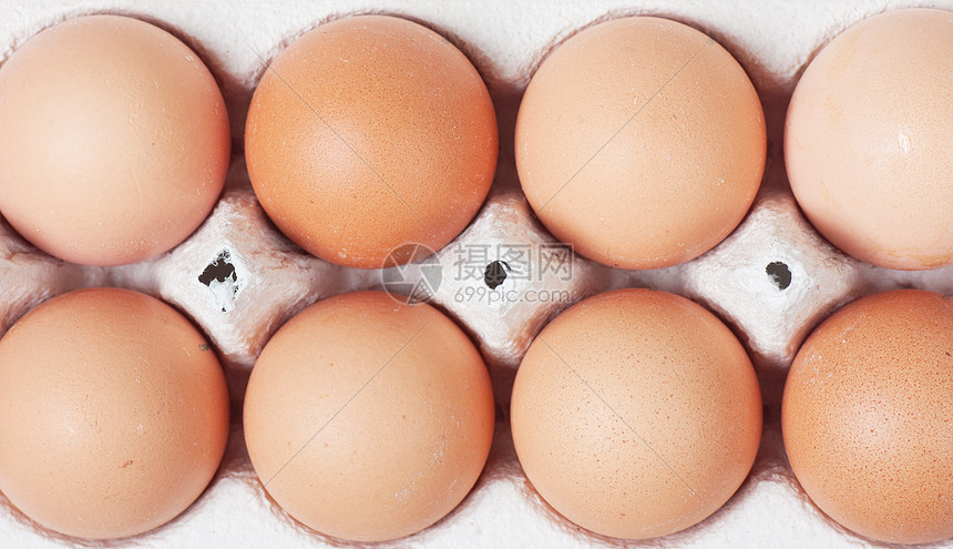 蛋动物盒子数字框架脆弱性椭圆纸盒早餐团体生活图片