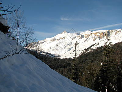 主要高加索山脊解脱旅行山丘全景植被木头天空冰川风景文件图片