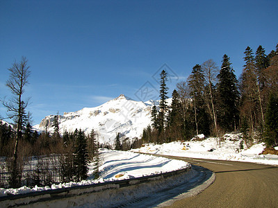 主要高加索山脊植物群全景风景文件一条路线山峰天空植被山丘旅行图片