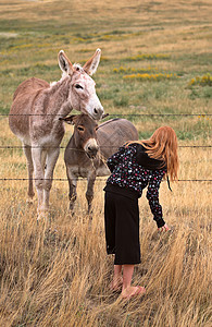 年轻女孩用两头驴交朋友国家孩子们农村乡村牧场活动母亲图片