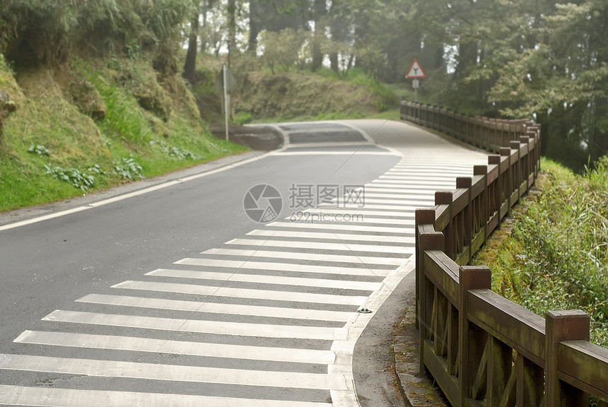 斑马条纹国家踪迹地平线风景穿越途径曲线场景车道森林图片